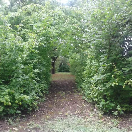 Дом отдыха Mit Garten- Terrasse Und Gartenpavillon By Interhome *